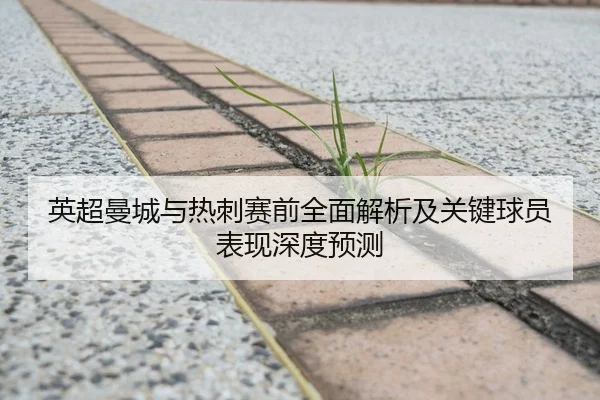 英超曼城与热刺赛前全面解析及关键球员表现深度预测