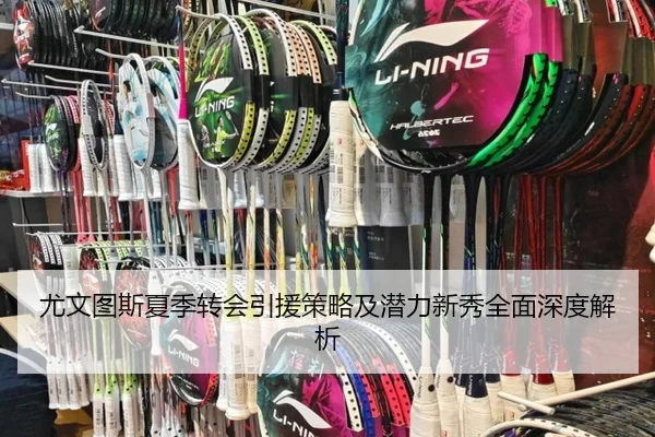 尤文图斯夏季转会引援策略及潜力新秀全面深度解析